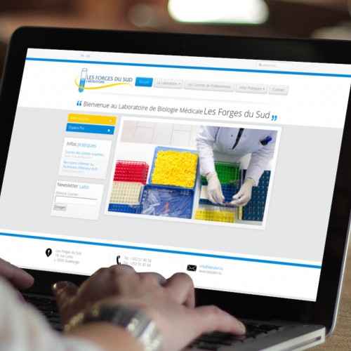 Laboratoire Les Forges du Sud