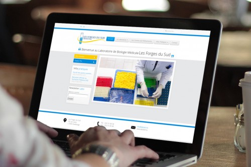 Laboratoire Les Forges du Sud